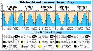 Sample TideGraph, Click to enlarge