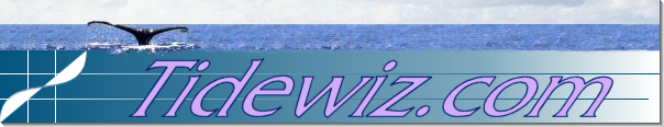 Tidewiz banner